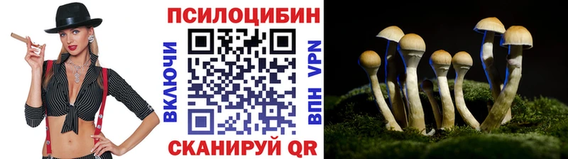 OMG tor  Егорьевск  Псилоцибиновые грибы ЛСД 