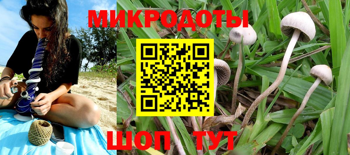 Псилоцибиновые грибы Psilocybine cubensis Егорьевск